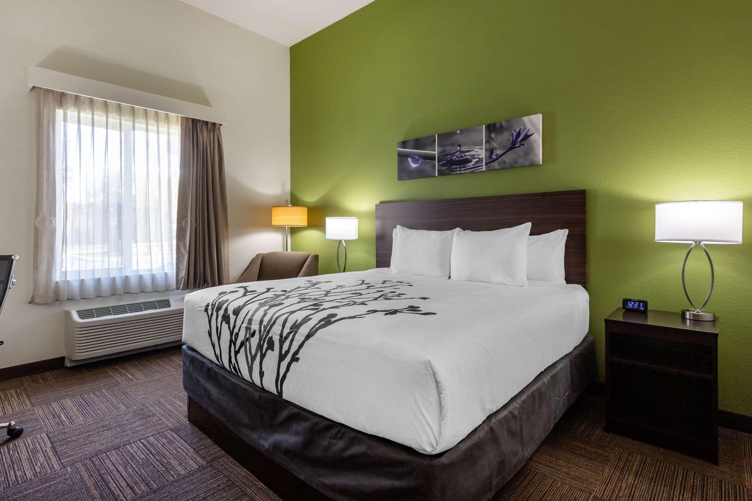 Sleep Inn & Suites Tampa South Buitenkant foto