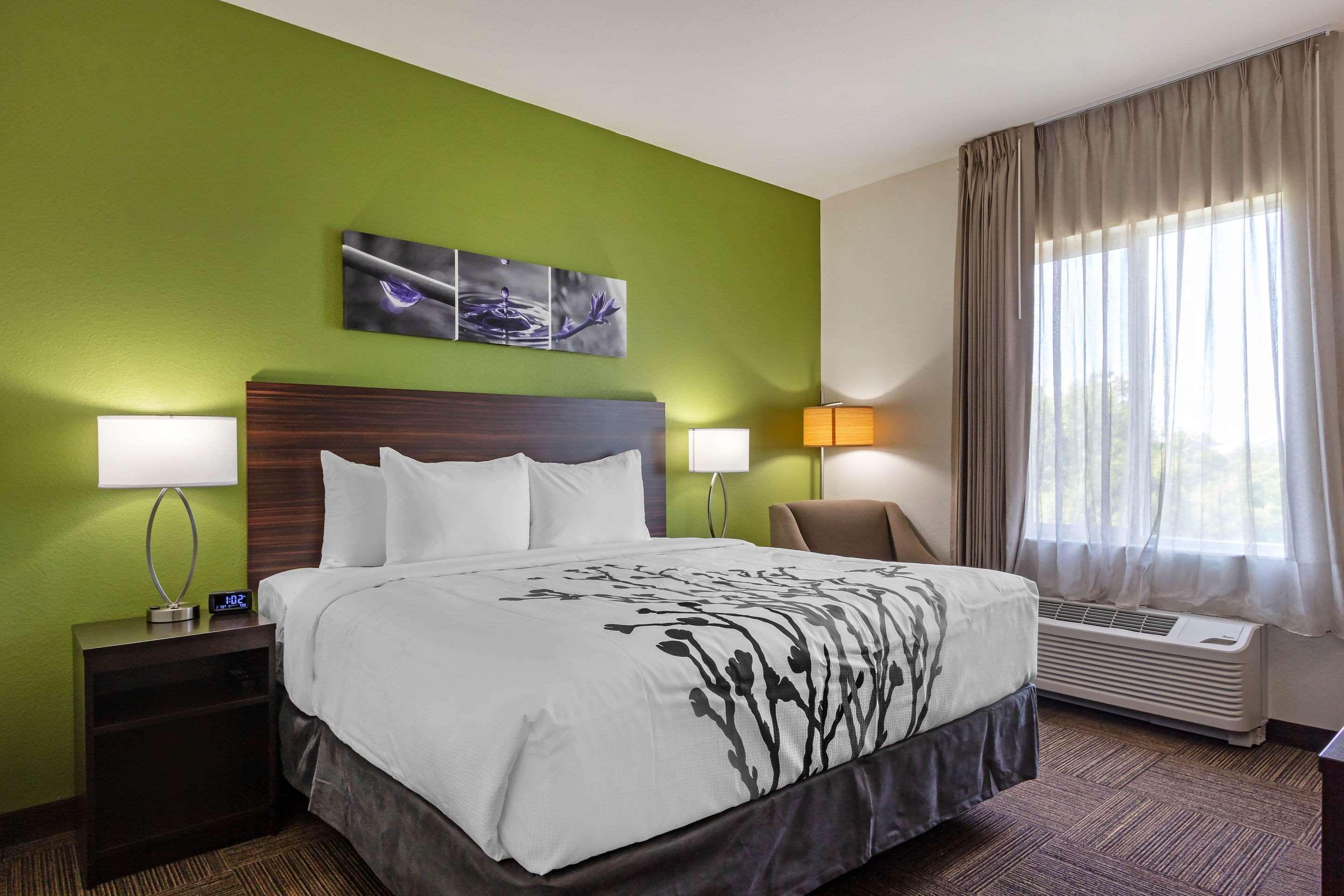 Sleep Inn & Suites Tampa South Buitenkant foto